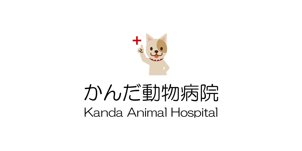 かんだ動物病院は埼玉県上尾市にある外科を得意とした地域密着の動物病院です