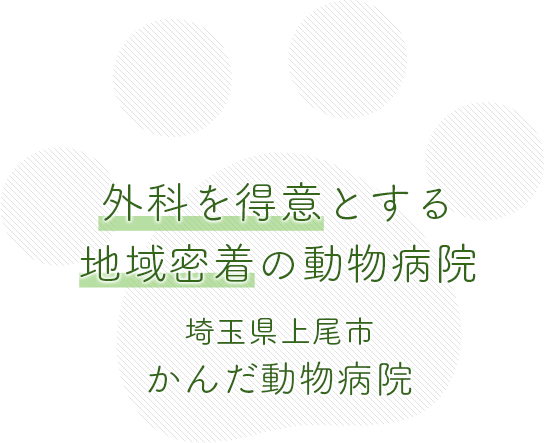 かんだ動物病院